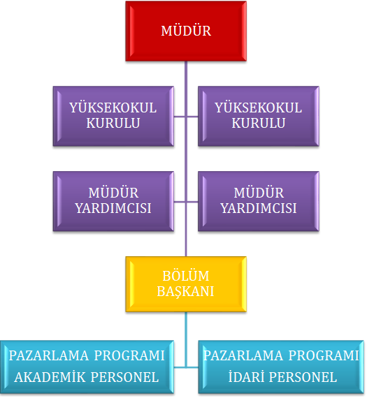 Organizasyon Şeması